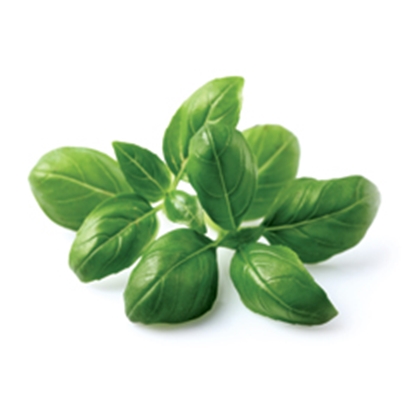 Picture of LAMB BRAND BASIL